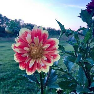 Make Me An Offer! Prices are negotiable 🤘